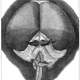 Illustration for article titled Was Robert Hooke really the greatest asshole in the history of science?